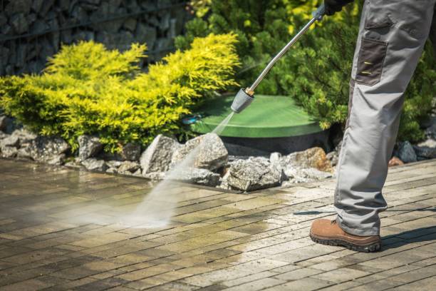 Best Animal Enclosure Cleaning  in Kilgore, TX